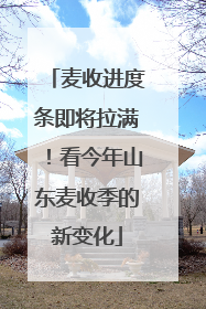 麦收进度条即将拉满！看今年山东麦收季的新变化