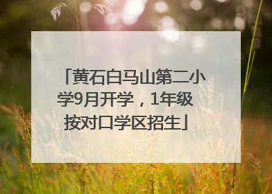 黄石白马山第二小学9月开学，1年级按对口学区招生