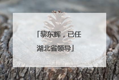 黎东辉，已任湖北省领导