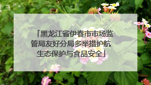 黑龙江省伊春市市场监管局友好分局多举措护航生态保护与食品安全