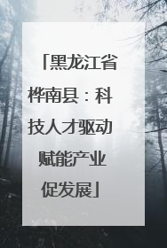 黑龙江省桦南县：科技人才驱动 赋能产业促发展