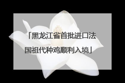 黑龙江省首批进口法国祖代种鸡顺利入境