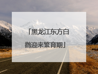 黑龙江东方白鹳迎来繁育期