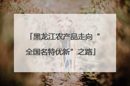 黑龙江农产品走向“全国名特优新”之路