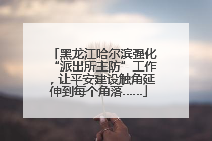 黑龙江哈尔滨强化“派出所主防”工作，让平安建设触角延伸到每个角落……