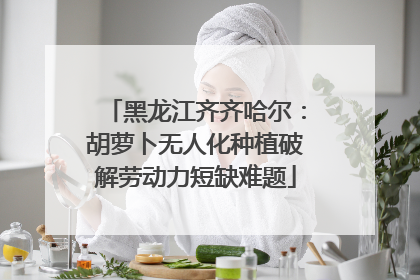 黑龙江齐齐哈尔：胡萝卜无人化种植破解劳动力短缺难题