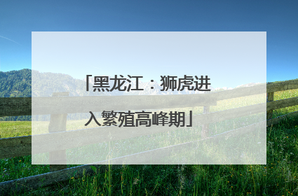黑龙江：狮虎进入繁殖高峰期