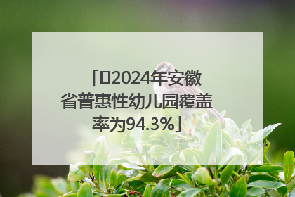 ﻿2024年安徽省普惠性幼儿园覆盖率为94.3%