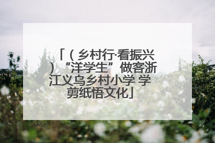（乡村行·看振兴）“洋学生”做客浙江义乌乡村小学 学剪纸悟文化