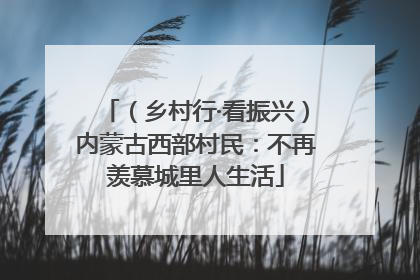 （乡村行·看振兴）内蒙古西部村民：不再羡慕城里人生活