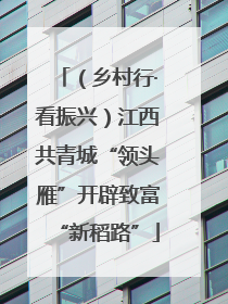 （乡村行·看振兴）江西共青城“领头雁”开辟致富“新稻路”