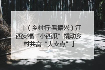 （乡村行·看振兴）江西安福“小西瓜”撬动乡村共富“大支点”