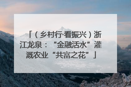 （乡村行·看振兴）浙江龙泉：“金融活水”灌溉农业“共富之花”