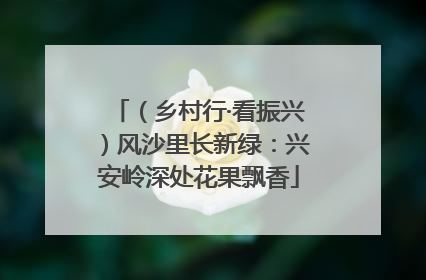 （乡村行·看振兴）风沙里长新绿：兴安岭深处花果飘香