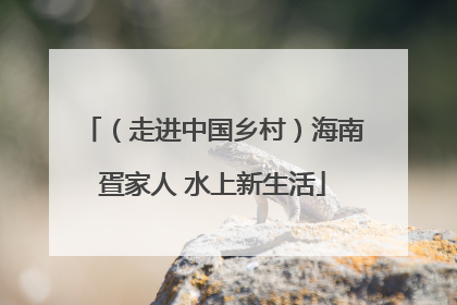 （走进中国乡村）海南疍家人 水上新生活