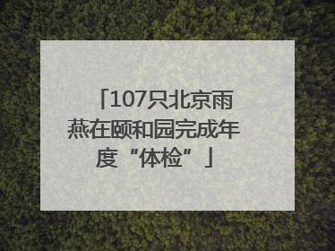 107只北京雨燕在颐和园完成年度“体检”