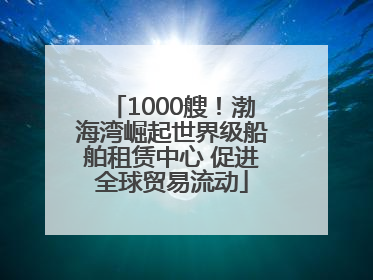 1000艘！渤海湾崛起世界级船舶租赁中心 促进全球贸易流动