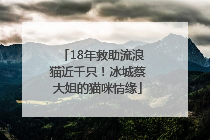 18年救助流浪猫近千只！冰城蔡大姐的猫咪情缘