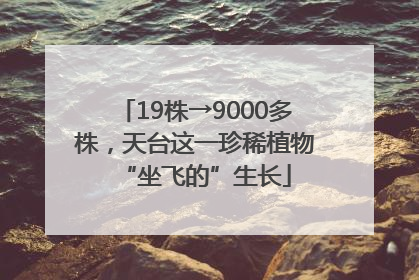 19株→9000多株，天台这一珍稀植物“坐飞的”生长