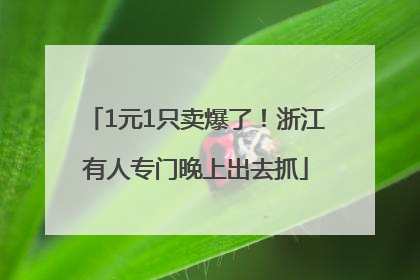 1元1只卖爆了！浙江有人专门晚上出去抓