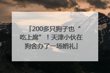 200多只狗子也“吃上席”！天津小伙在狗舍办了一场婚礼