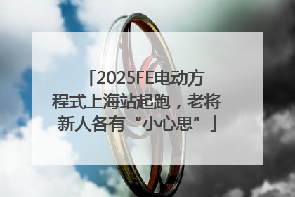 2025FE电动方程式上海站起跑，老将新人各有“小心思”