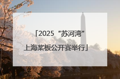2025“苏河湾”上海桨板公开赛举行