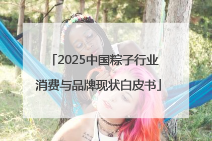 2025中国粽子行业消费与品牌现状白皮书