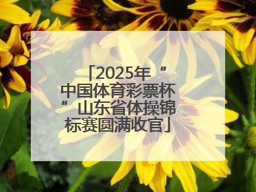 2025年“中国体育彩票杯”山东省体操锦标赛圆满收官