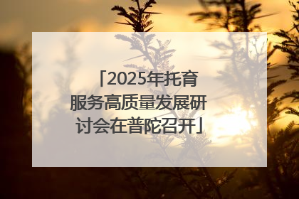 2025年托育服务高质量发展研讨会在普陀召开
