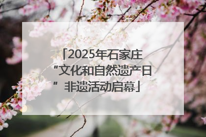 2025年石家庄“文化和自然遗产日”非遗活动启幕