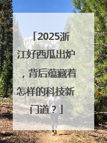2025浙江好西瓜出炉，背后蕴藏着怎样的科技新门道？