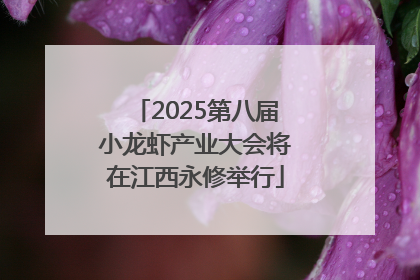2025第八届小龙虾产业大会将在江西永修举行