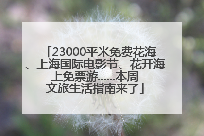 23000平米免费花海、上海国际电影节、花开海上免票游......本周文旅生活指南来了