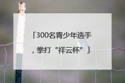 300名青少年选手，拳打“祥云杯”