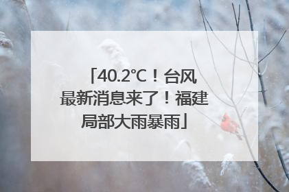 40.2℃！台风最新消息来了！福建局部大雨暴雨