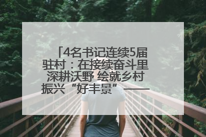 4名书记连续5届驻村：在接续奋斗里深耕沃野 绘就乡村振兴“好丰景”——浦发银行南京分行助力脱贫攻坚、帮促乡村振兴记事（二）