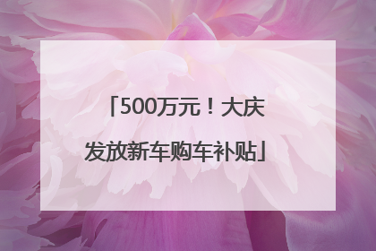 500万元！大庆发放新车购车补贴