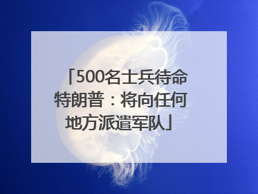 500名士兵待命 特朗普：将向任何地方派遣军队