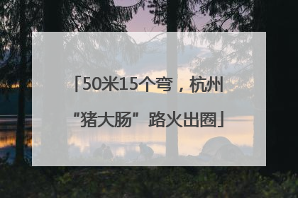 50米15个弯，杭州“猪大肠”路火出圈