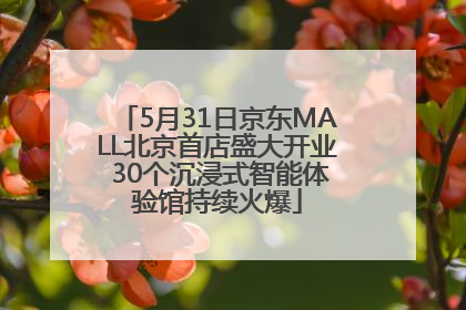 5月31日京东MALL北京首店盛大开业 30个沉浸式智能体验馆持续火爆