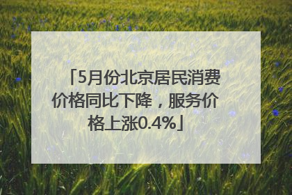 5月份北京居民消费价格同比下降，服务价格上涨0.4%