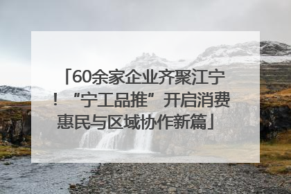 60余家企业齐聚江宁！“宁工品推”开启消费惠民与区域协作新篇