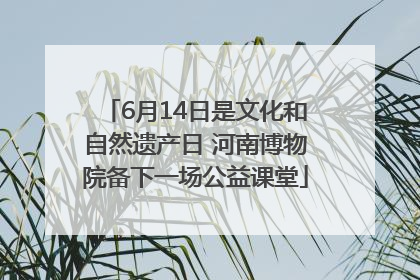 6月14日是文化和自然遗产日 河南博物院备下一场公益课堂