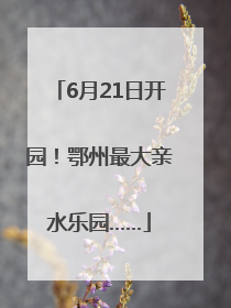 6月21日开园！鄂州最大亲水乐园……