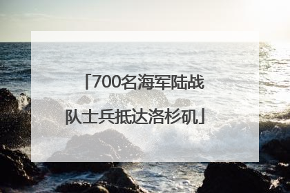 700名海军陆战队士兵抵达洛杉矶