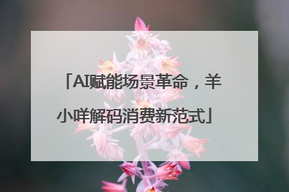 AI赋能场景革命，羊小咩解码消费新范式